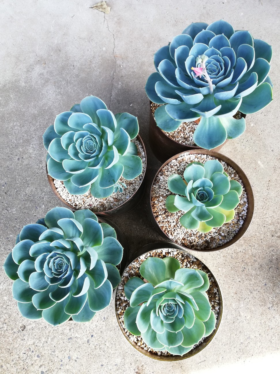 f:id:rockawaythemods:20210628132145j:image f:id:rockawaythemods:20210628132145j:image