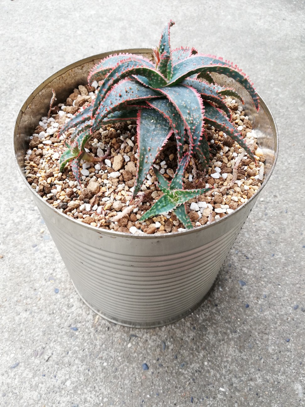 f:id:rockawaythemods:20210903152322j:image