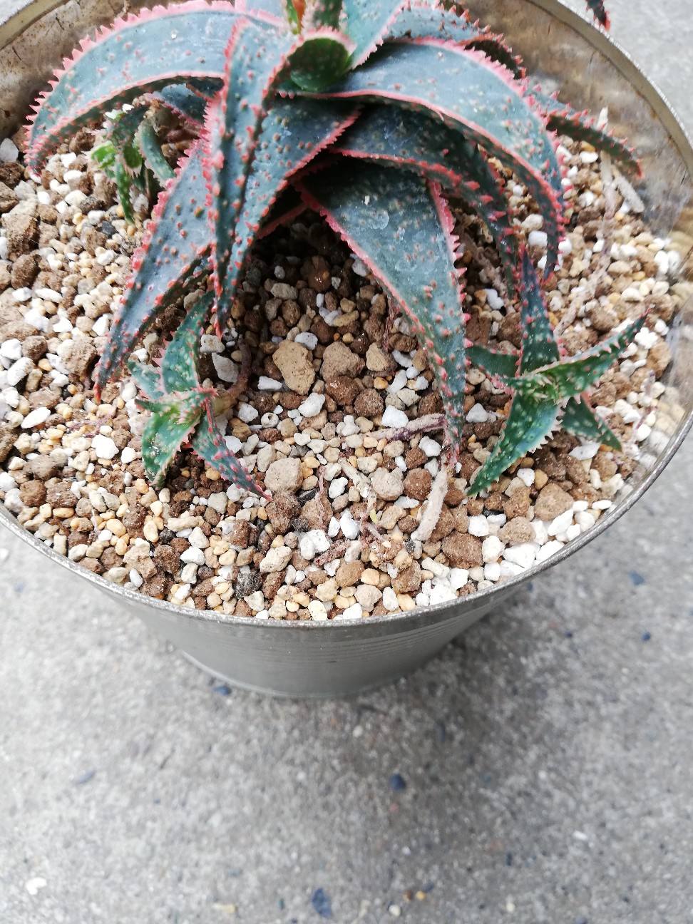 f:id:rockawaythemods:20210903152343j:image