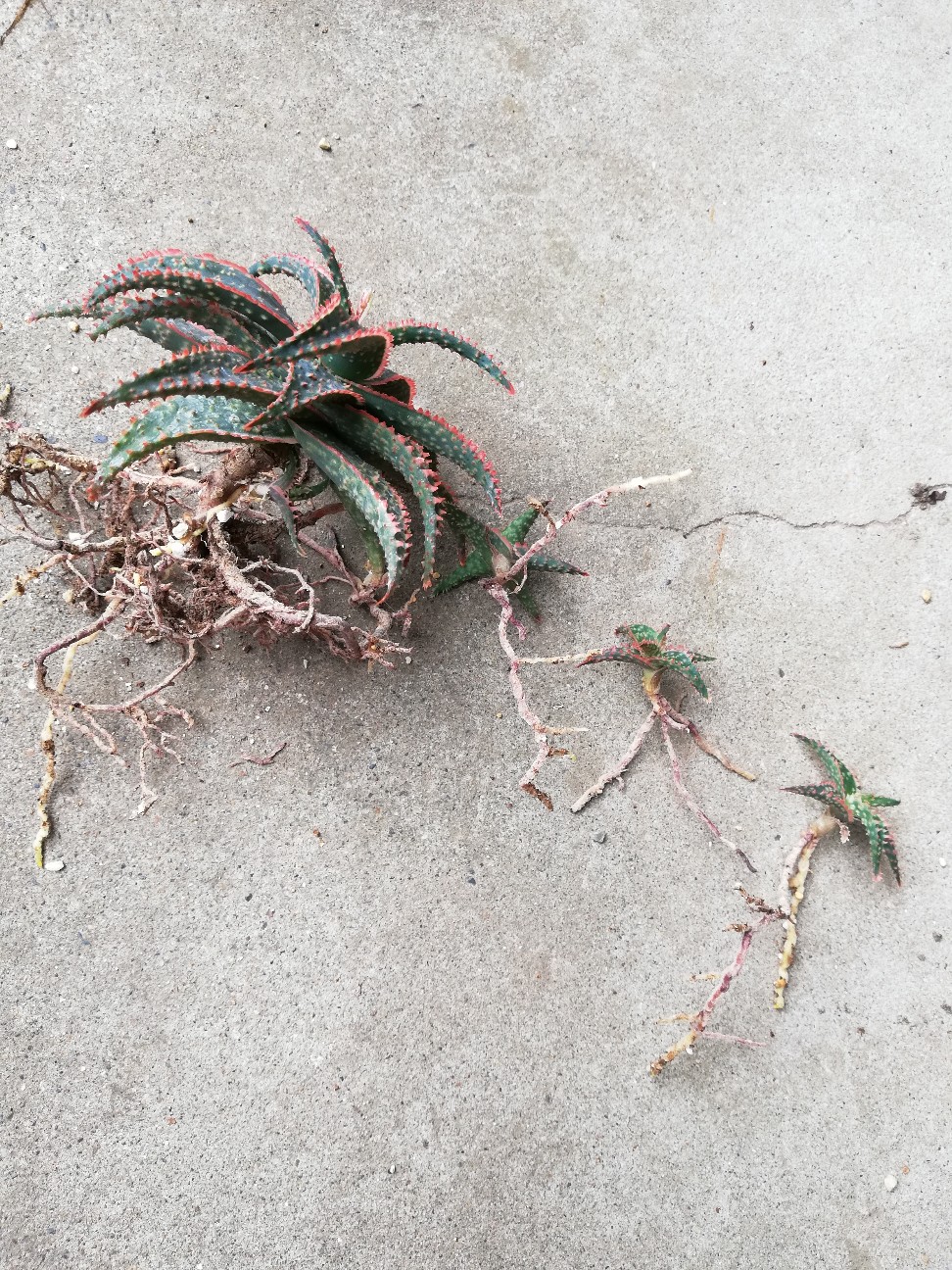 f:id:rockawaythemods:20210903152441j:image