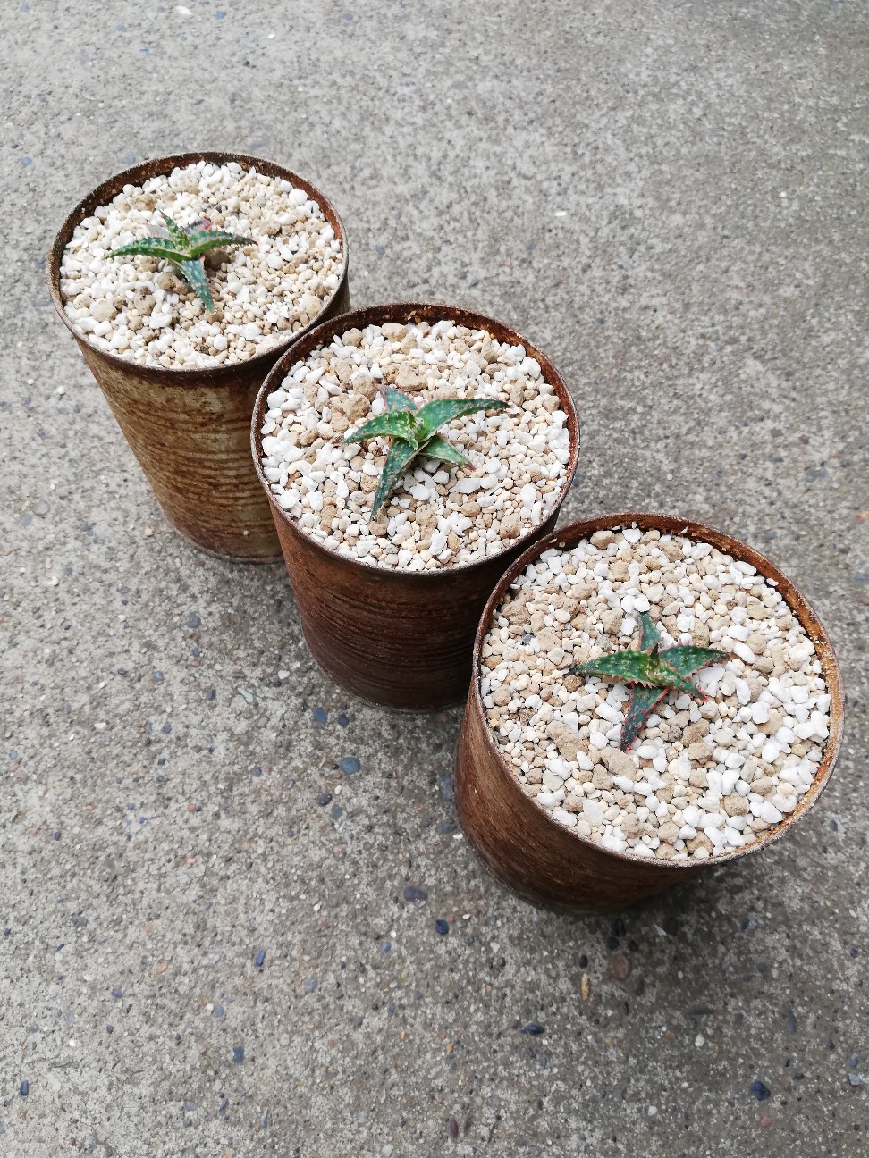 f:id:rockawaythemods:20210903152653j:image