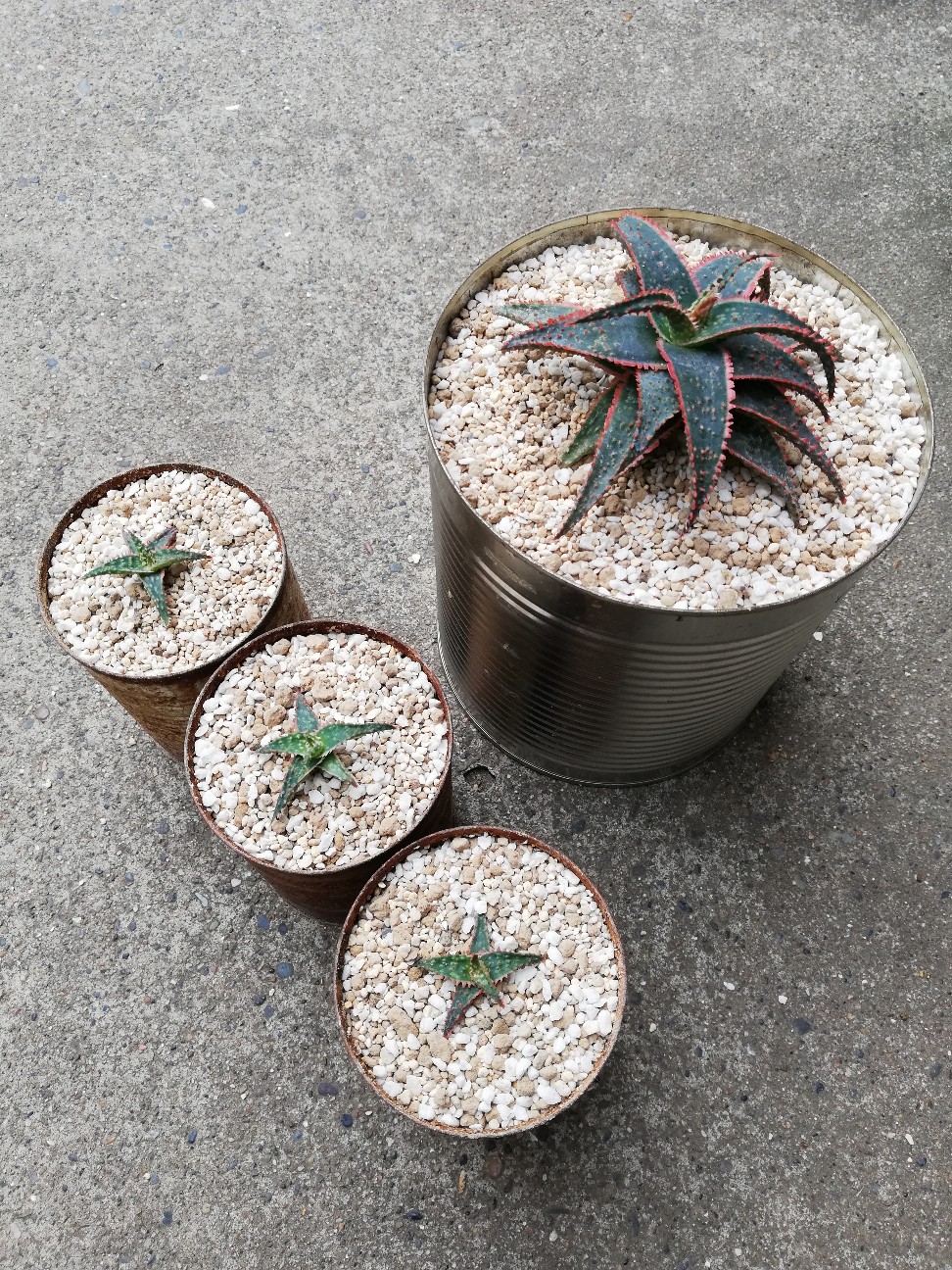 f:id:rockawaythemods:20210903152737j:image