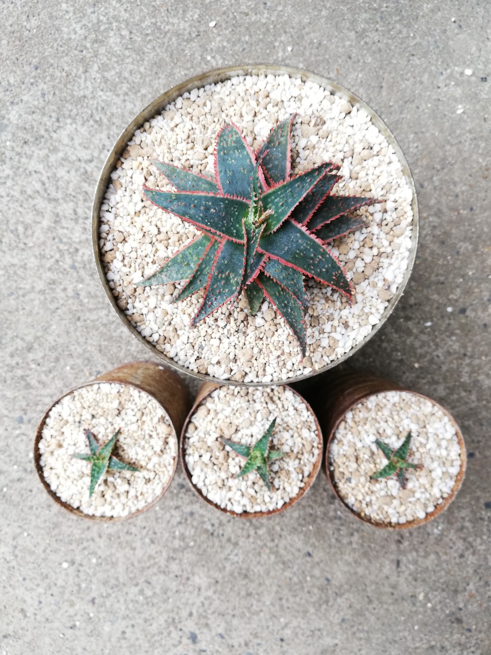 f:id:rockawaythemods:20210903152835j:image