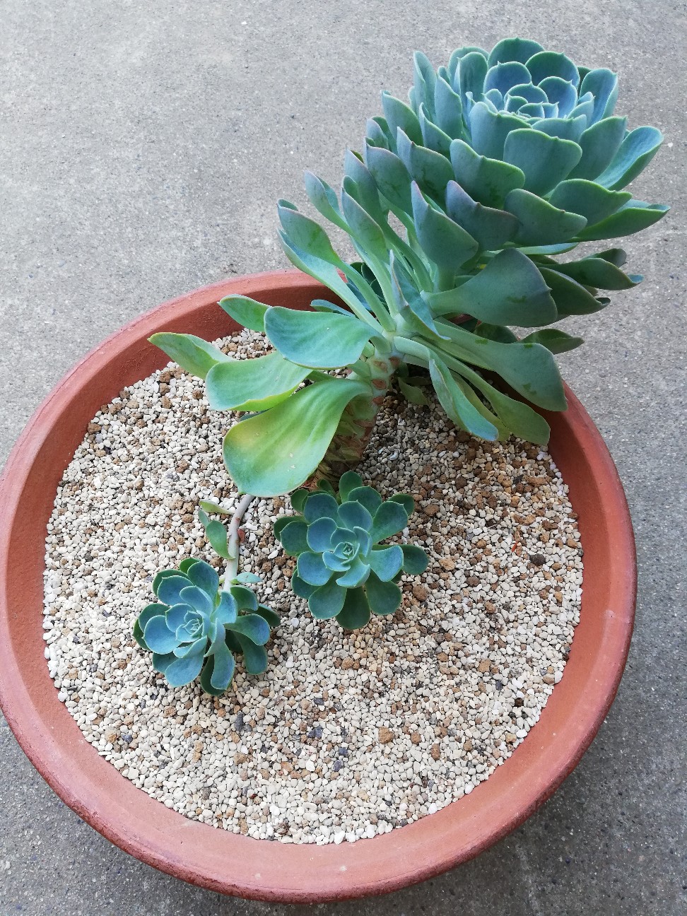 f:id:rockawaythemods:20210907195645j:image