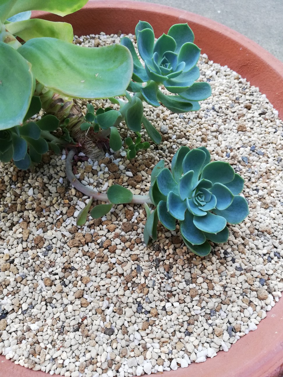 f:id:rockawaythemods:20210907195721j:image