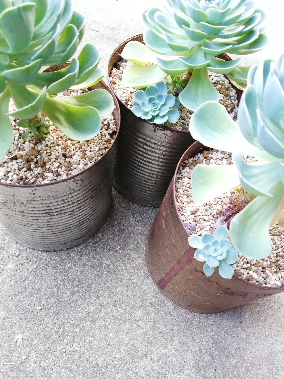 f:id:rockawaythemods:20210907195741j:image