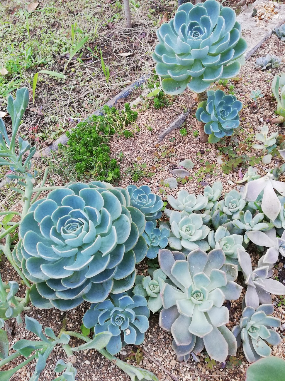 f:id:rockawaythemods:20210907195801j:image