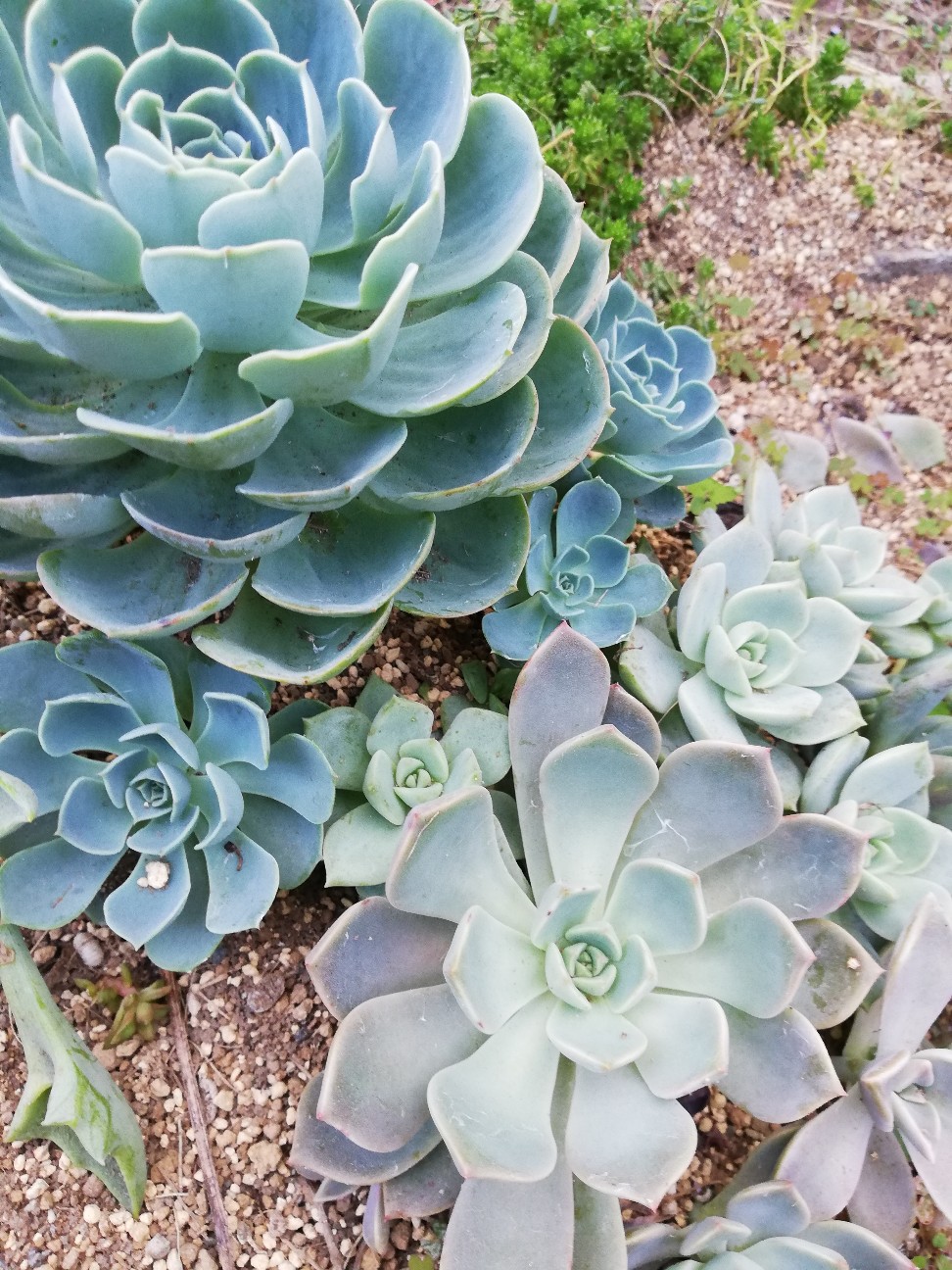 f:id:rockawaythemods:20210907195832j:image