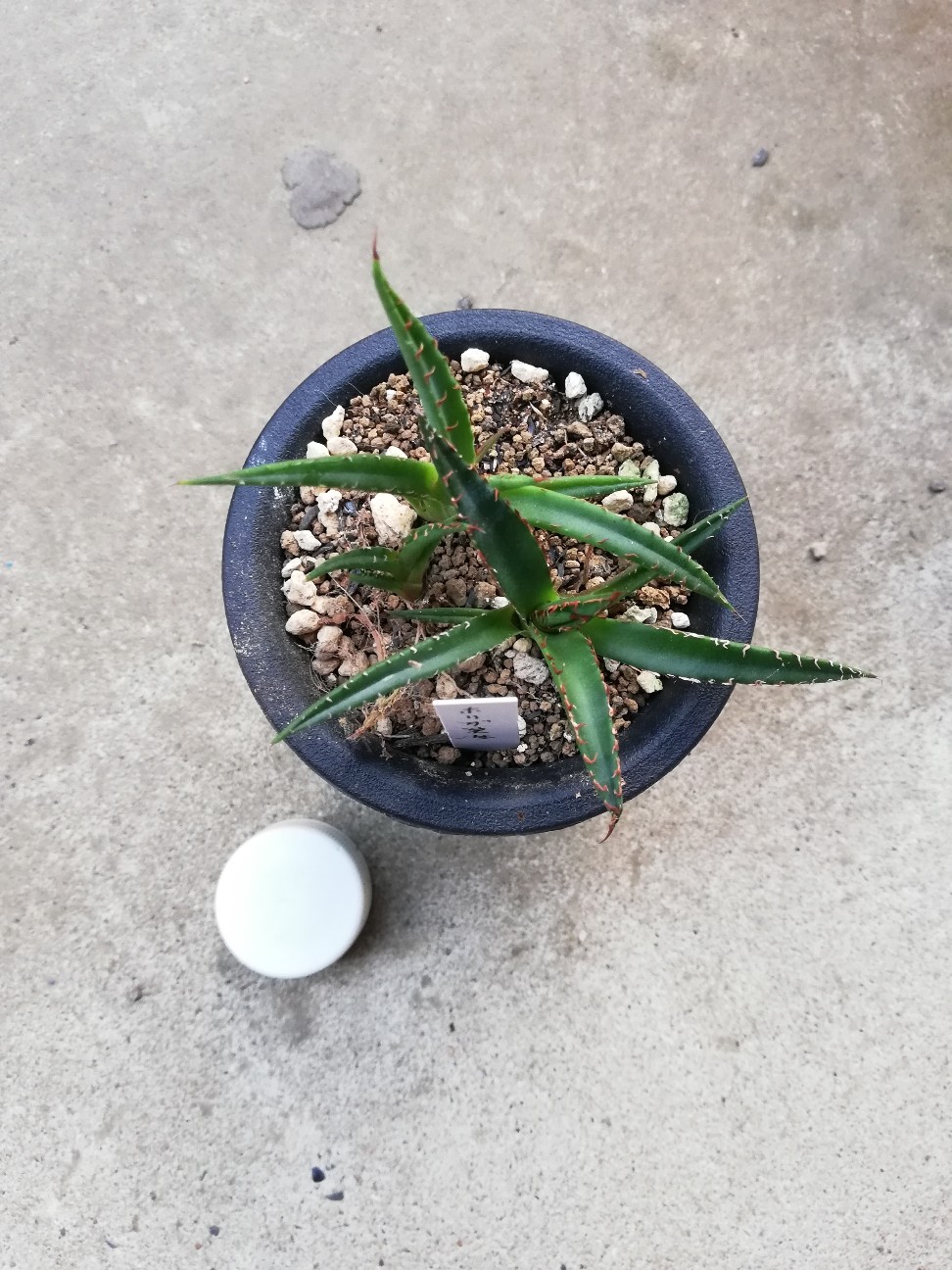 f:id:rockawaythemods:20211006144758j:image