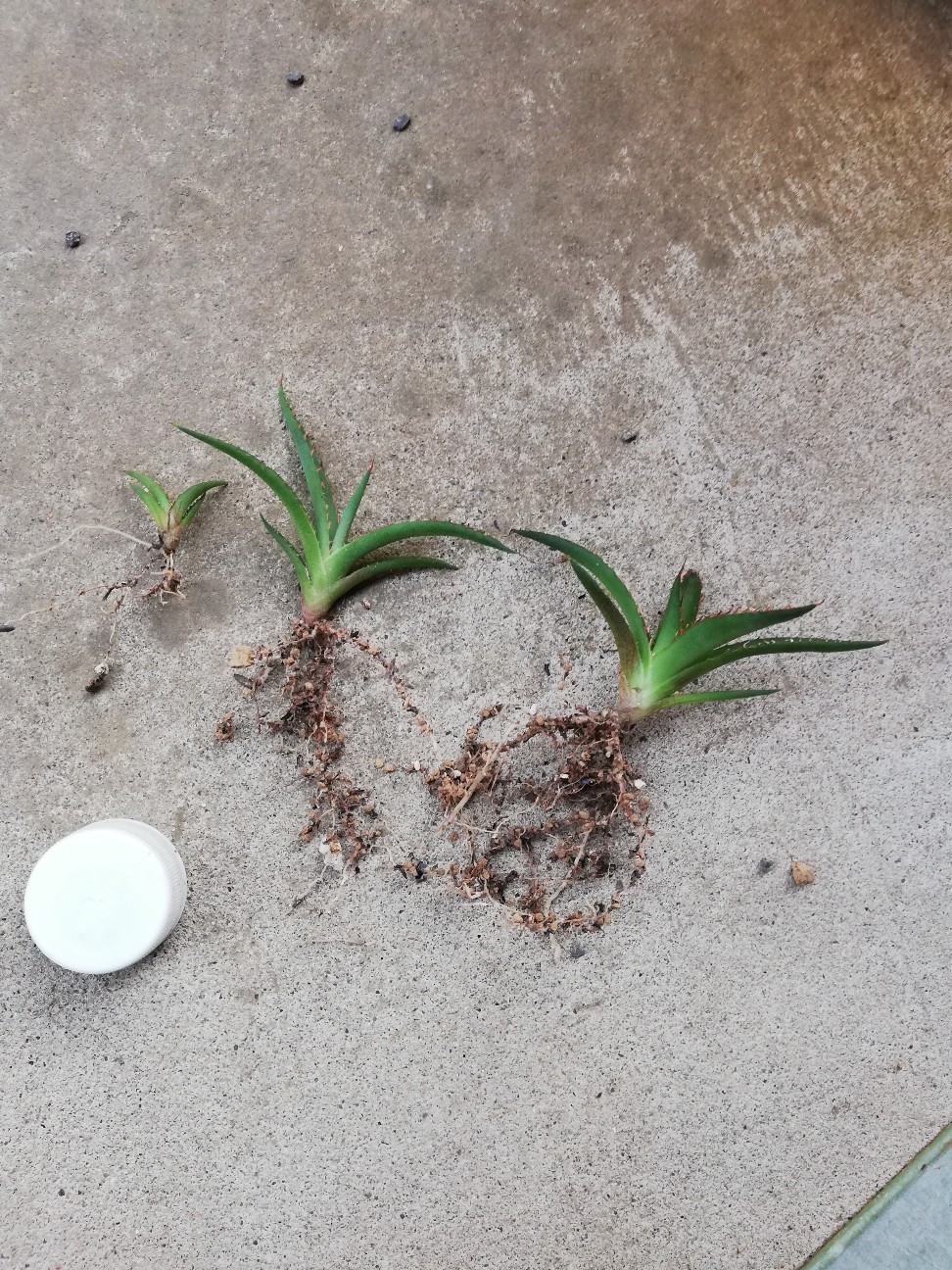 f:id:rockawaythemods:20211006144851j:image