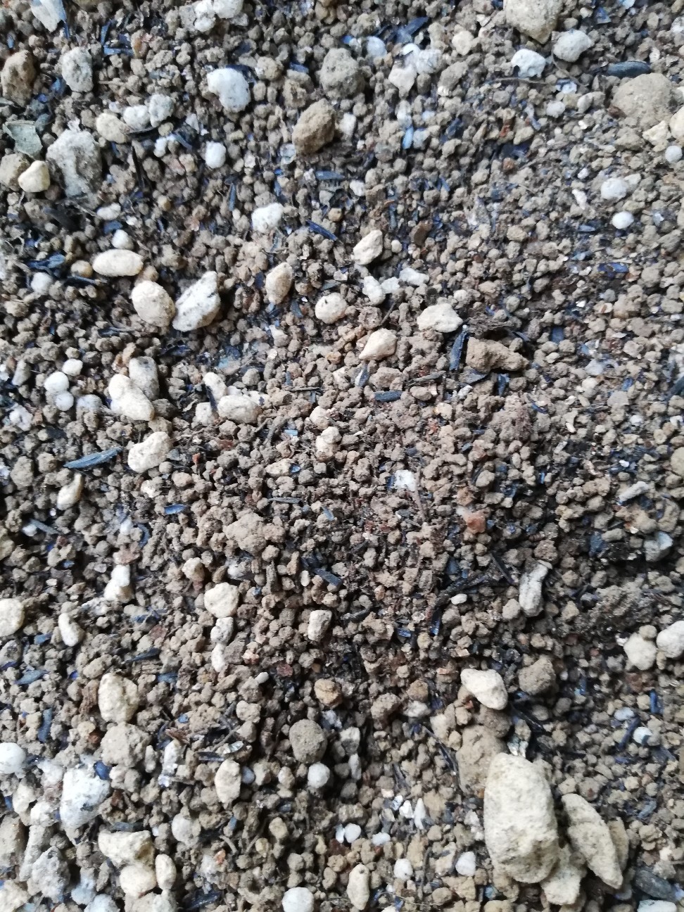 f:id:rockawaythemods:20211006144910j:image