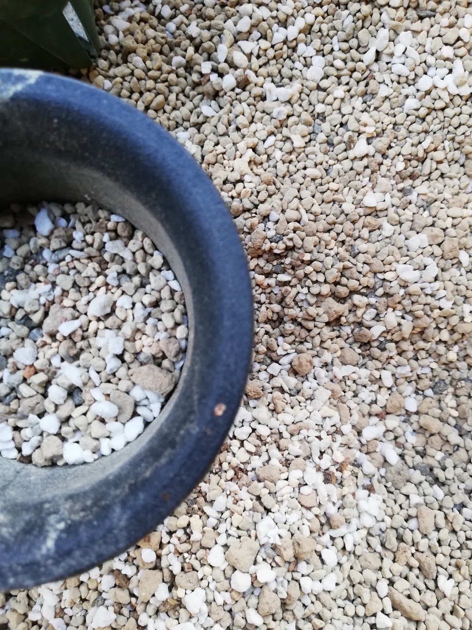 f:id:rockawaythemods:20211006144923j:image