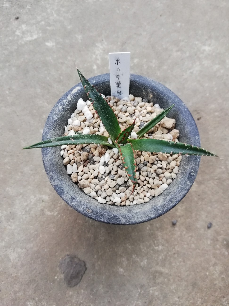 f:id:rockawaythemods:20211006144949j:image