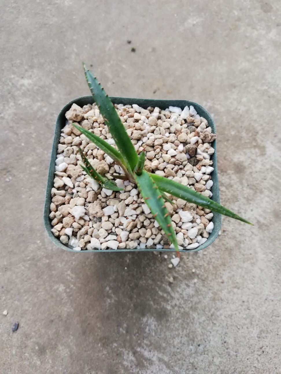 f:id:rockawaythemods:20211006145002j:image