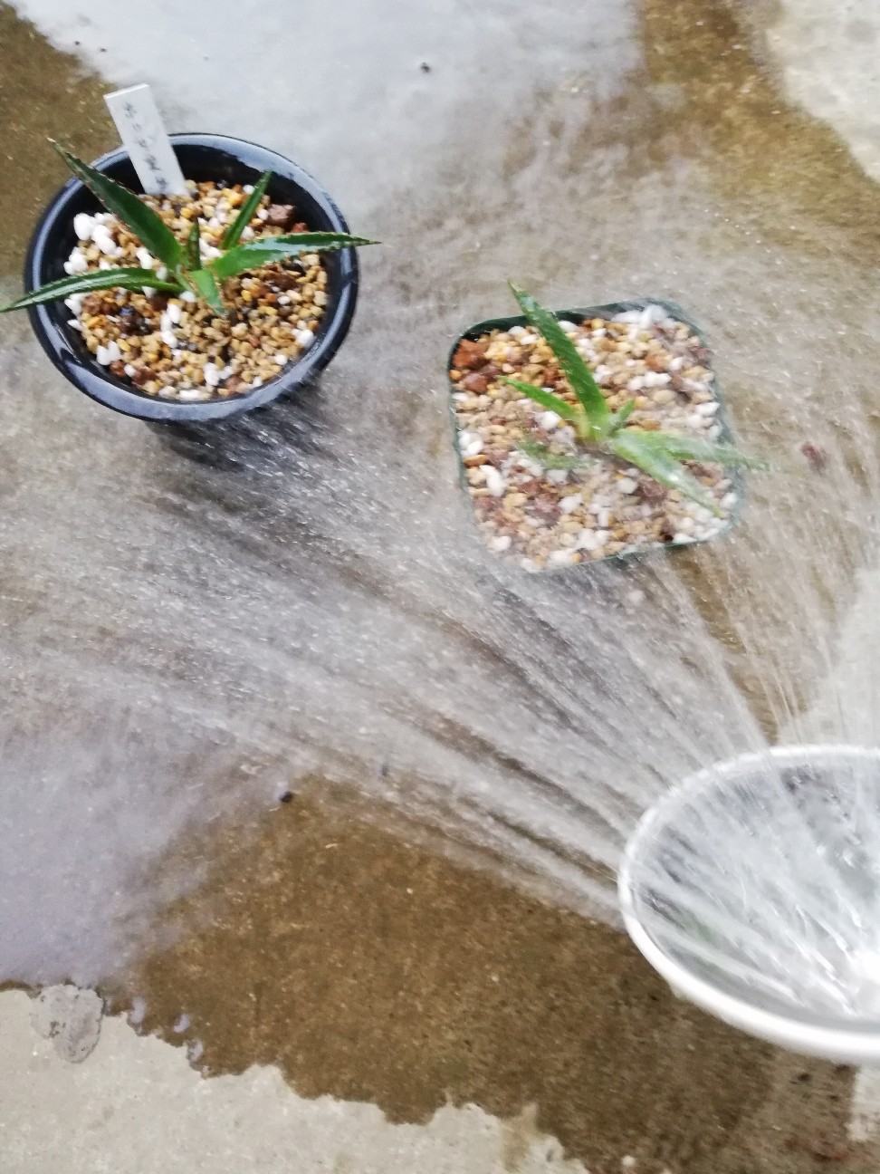 f:id:rockawaythemods:20211006145015j:image