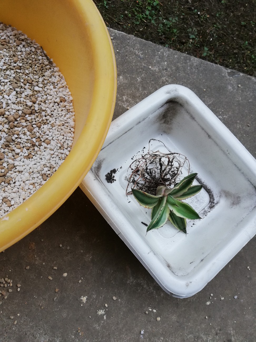 f:id:rockawaythemods:20211018055209j:image f:id:rockawaythemods:20211018055209j:image