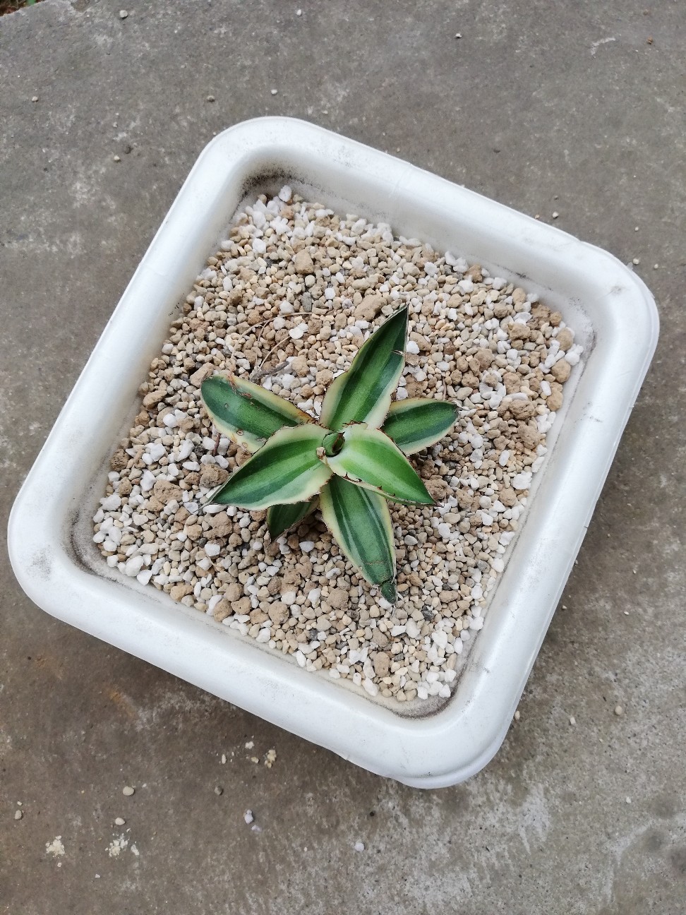 f:id:rockawaythemods:20211018055238j:image f:id:rockawaythemods:20211018055238j:image