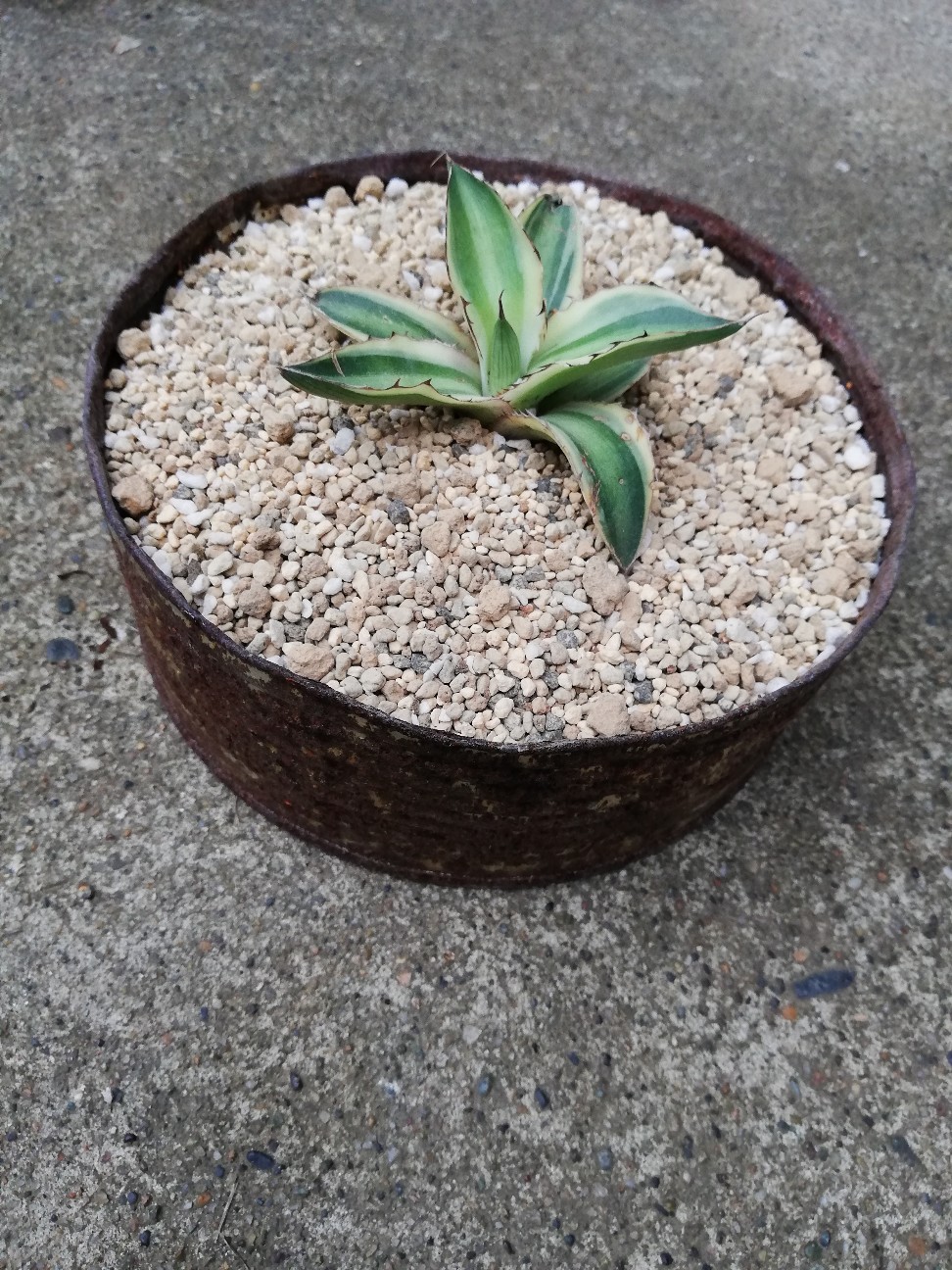 f:id:rockawaythemods:20211018055401j:image f:id:rockawaythemods:20211018055401j:image