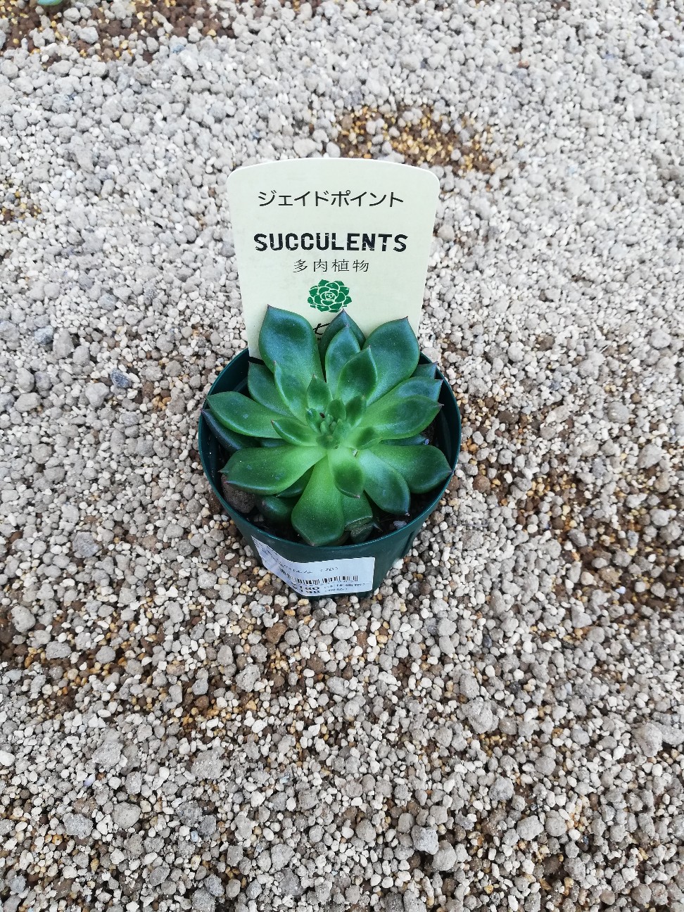 f:id:rockawaythemods:20211104055909j:image