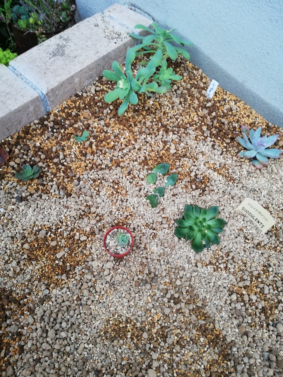 f:id:rockawaythemods:20211104061103j:image