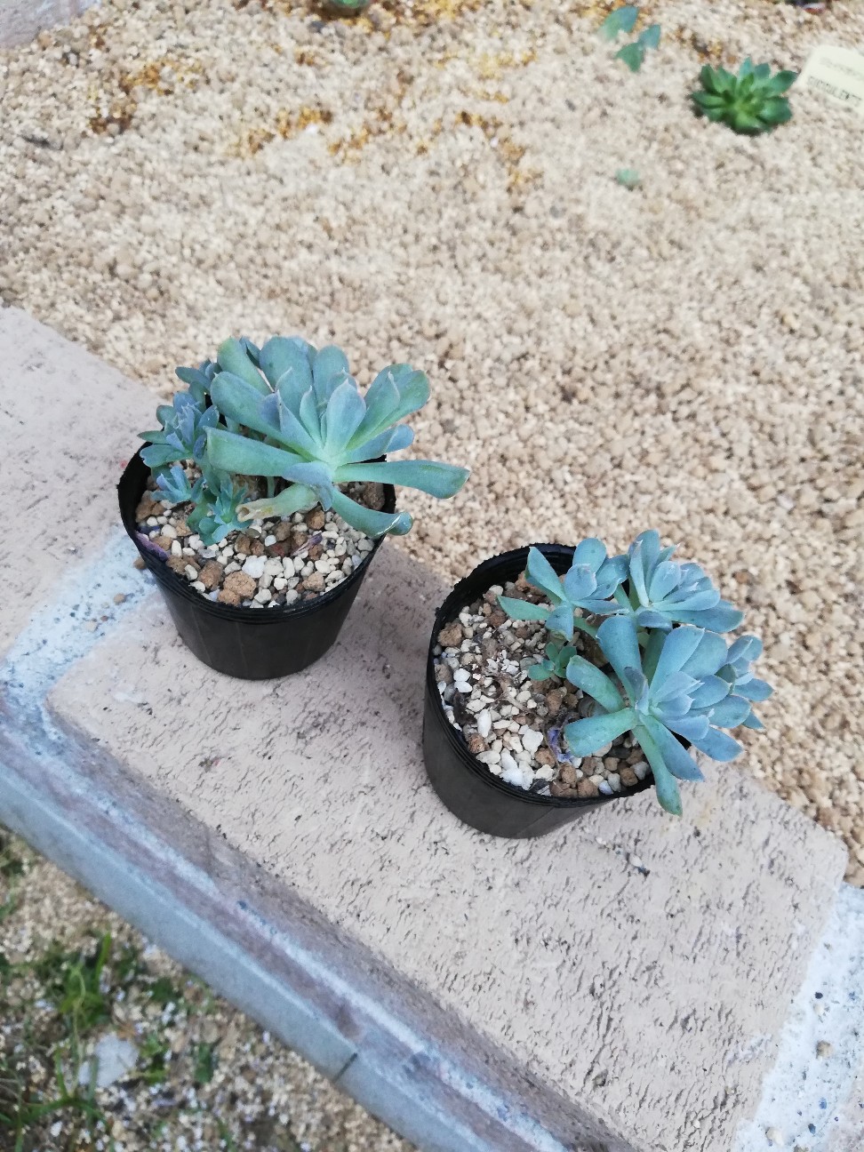 f:id:rockawaythemods:20211104061302j:image