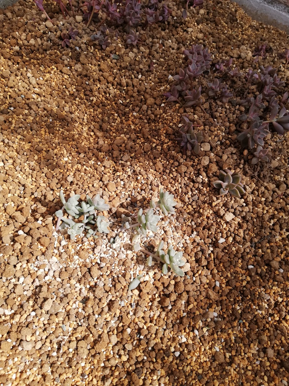 f:id:rockawaythemods:20211104063355j:image