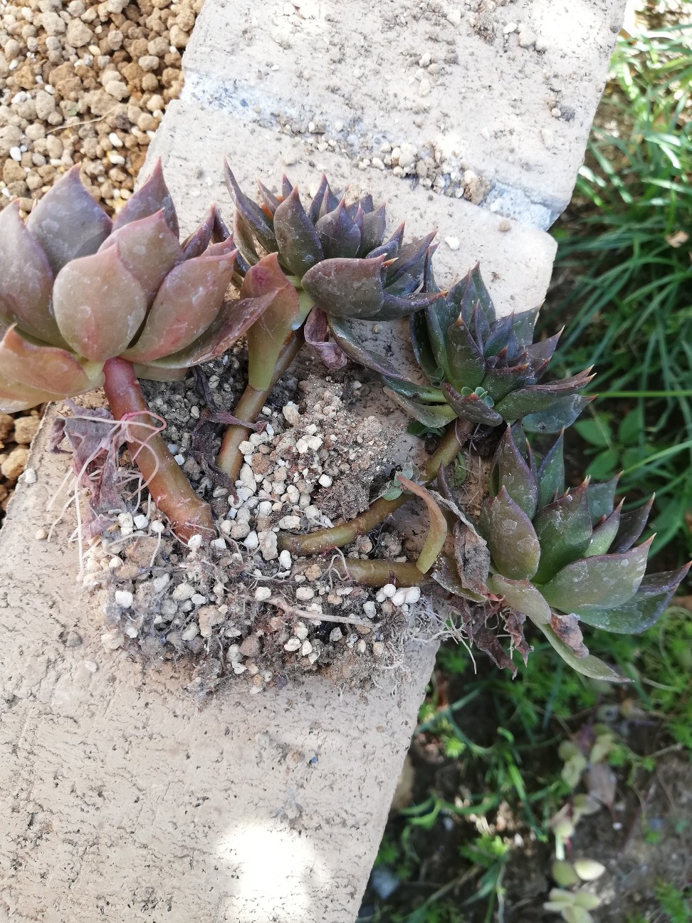 f:id:rockawaythemods:20211104064502j:image