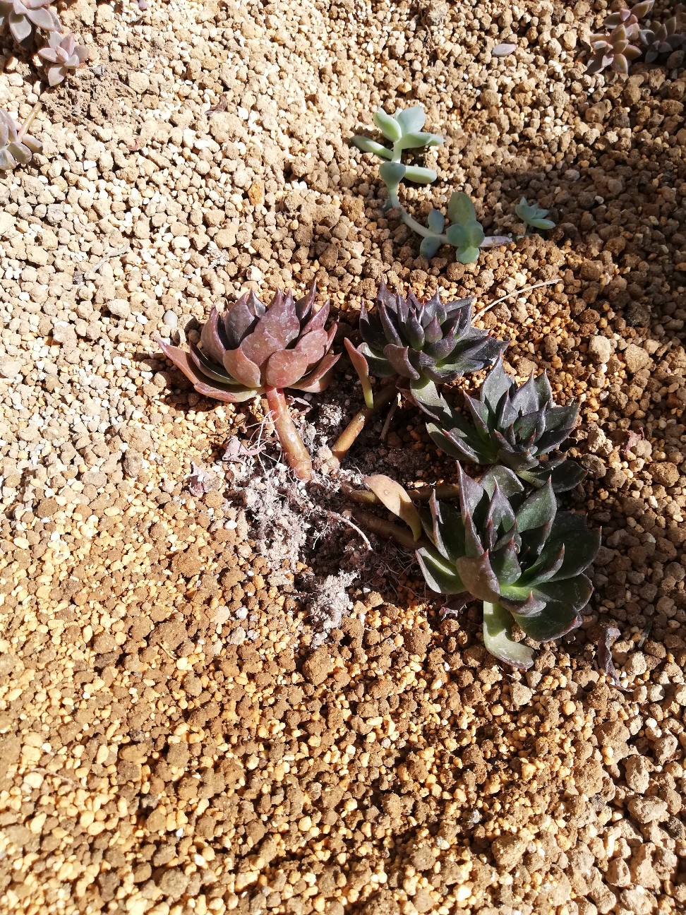 f:id:rockawaythemods:20211104064730j:image