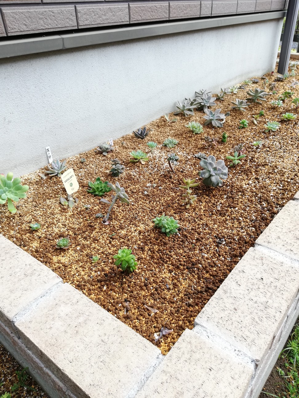 f:id:rockawaythemods:20211104065026j:image