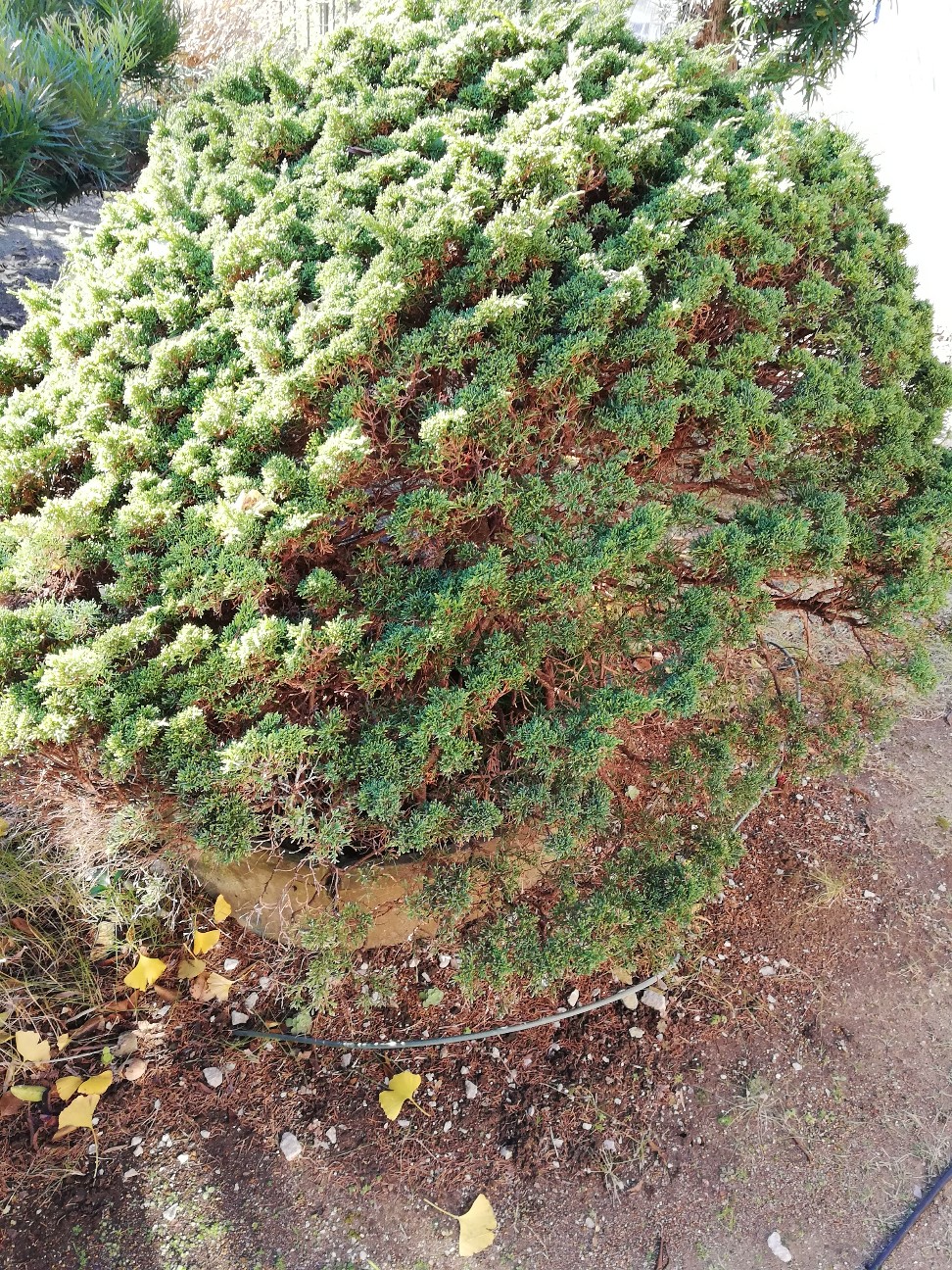 f:id:rockawaythemods:20211202115229j:image f:id:rockawaythemods:20211202115229j:image