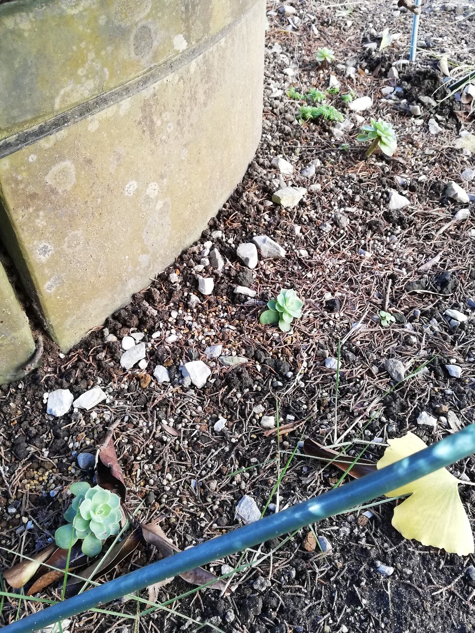 f:id:rockawaythemods:20211202115246j:image f:id:rockawaythemods:20211202115246j:image