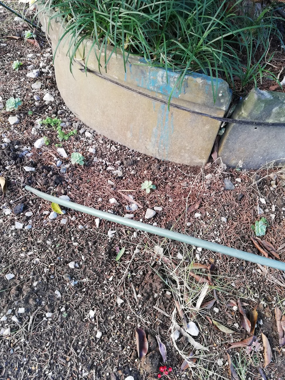 f:id:rockawaythemods:20211202115324j:image f:id:rockawaythemods:20211202115324j:image