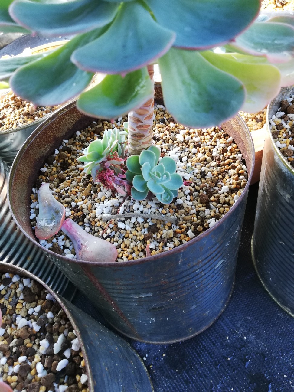 f:id:rockawaythemods:20211202115942j:image f:id:rockawaythemods:20211202115942j:image