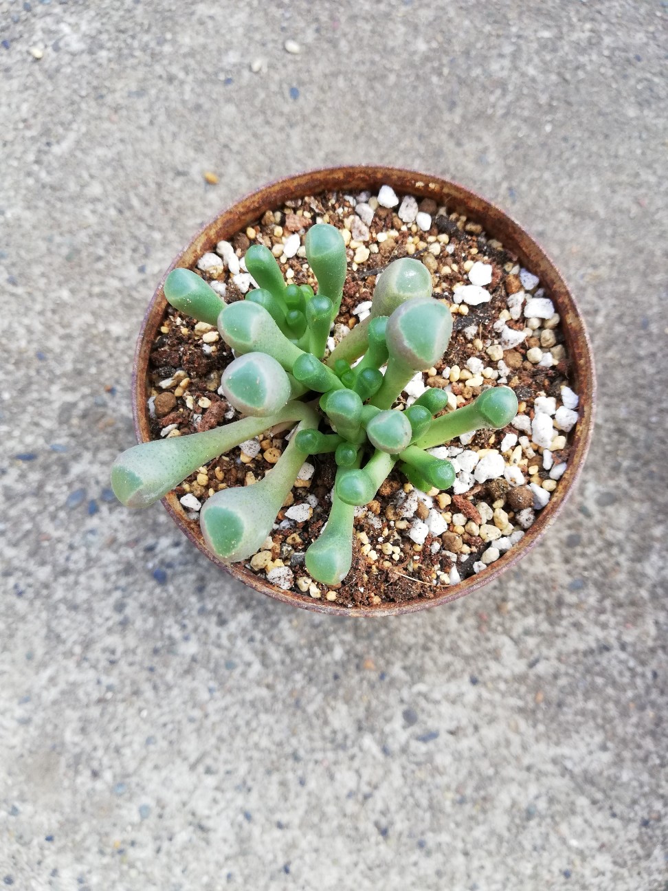 f:id:rockawaythemods:20220213214251j:image f:id:rockawaythemods:20220213214251j:image