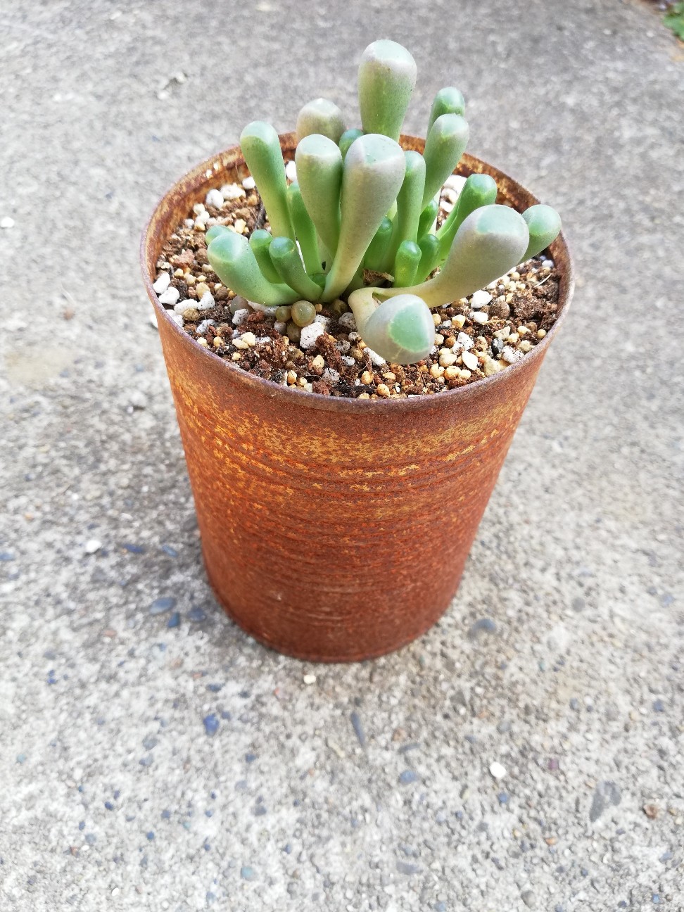 f:id:rockawaythemods:20220213214319j:image f:id:rockawaythemods:20220213214319j:image