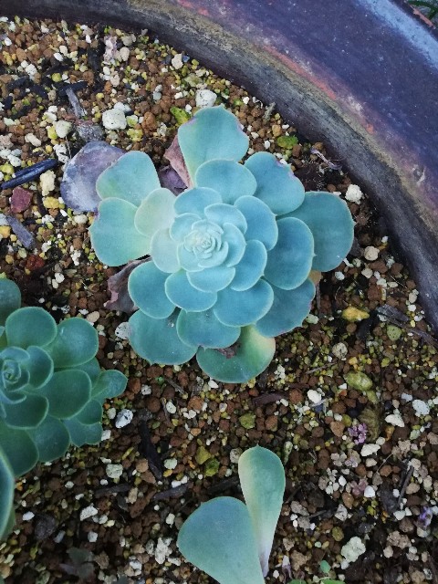 f:id:rockawaythemods:20220928111606j:image