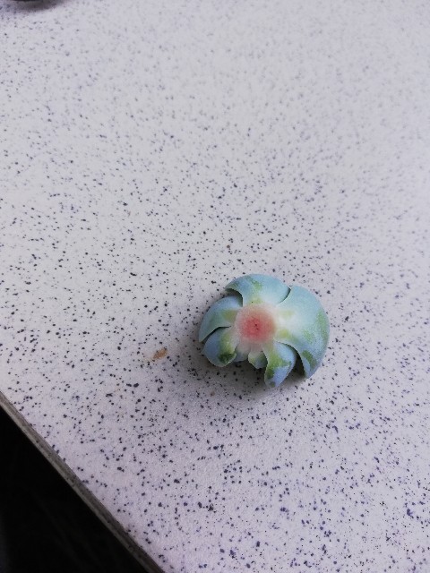 f:id:rockawaythemods:20220928111633j:image