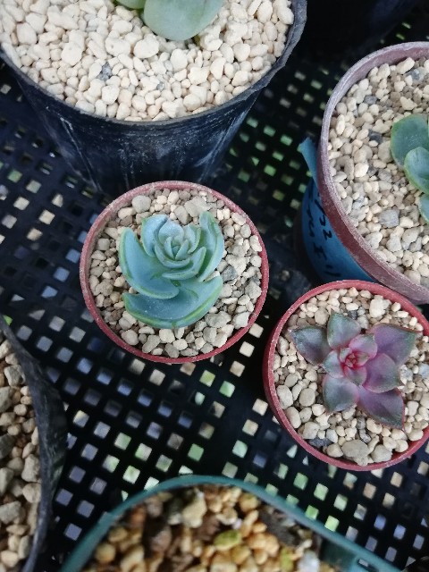 f:id:rockawaythemods:20220928111645j:image