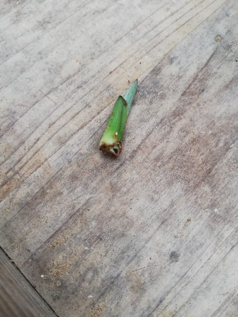 f:id:rockawaythemods:20220929140129j:image