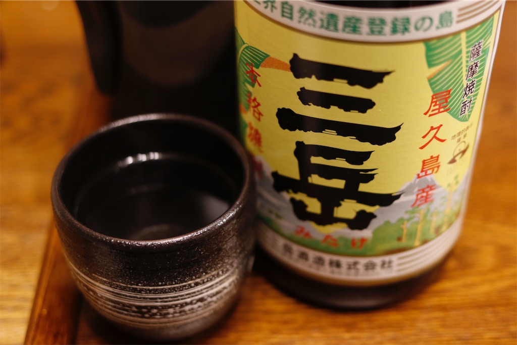 f:id:rocketboy_miya:20210305205015j:image