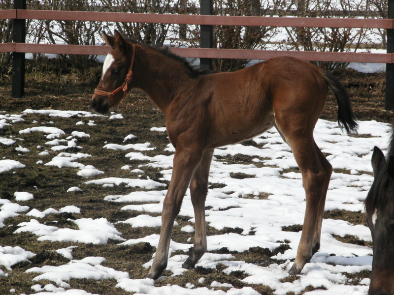 f:id:rockeyhy:20040101025052j:image:w280