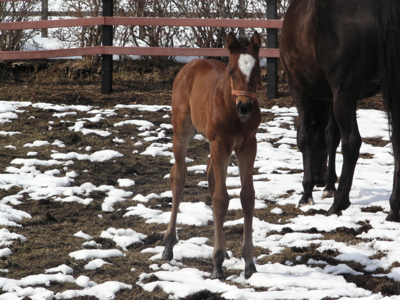 f:id:rockeyhy:20040101025150j:image:w280