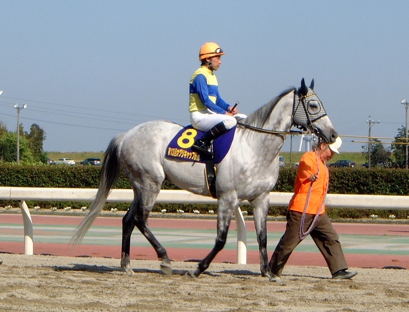 f:id:rockeyhy:20040429153202j:plain:w280 f:id:rockeyhy:20040429153202j:plain:w280