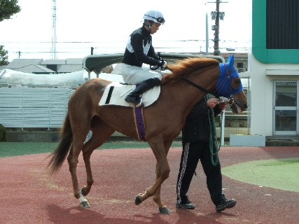 f:id:rockeyhy:20100305080235j:image