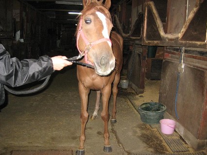 f:id:rockeyhy:20100904081648j:image