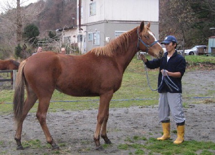 f:id:rockeyhy:20100919212757j:image