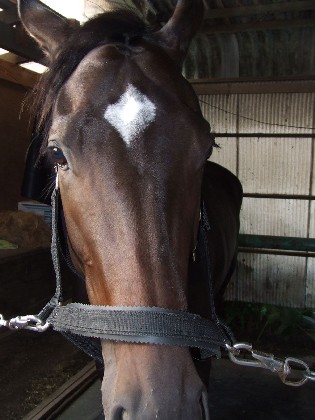 f:id:rockeyhy:20101023234858j:image