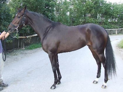 f:id:rockeyhy:20101023234859j:image