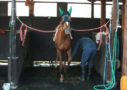 f:id:rockeyhy:20101108230254j:image