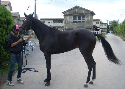 f:id:rockeyhy:20101110235414j:image